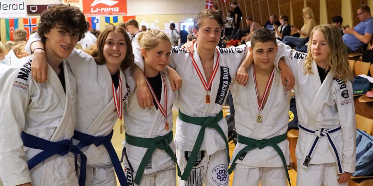 Resultat från Danish Open jujutsu 2017