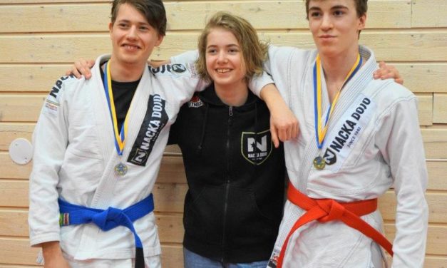 Resultat från Nybro Energi Open 3