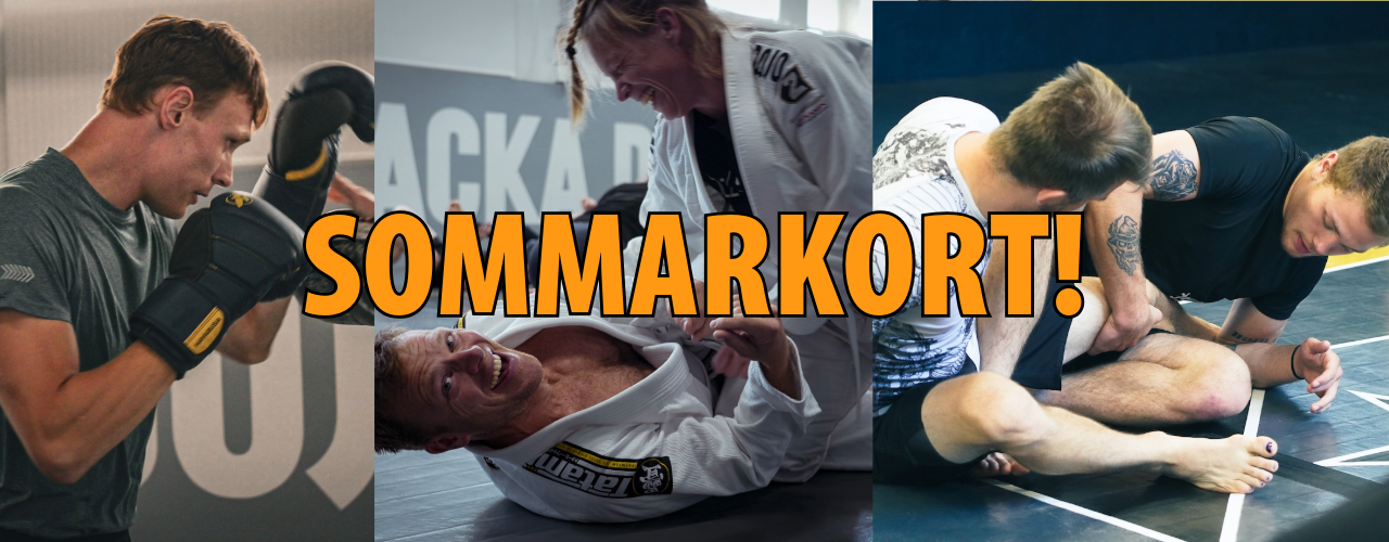 Sommarkort 2024